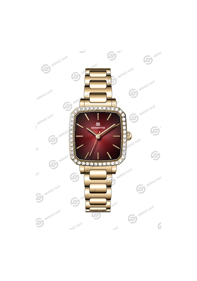 Momentus Women's Shiny Ss398g-14sg Gri