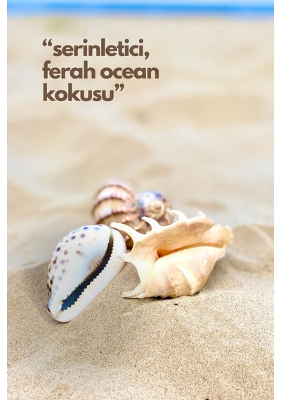 Nature's Scents Oceann Oda Kokusu Yedek Makine Spreyi 250 Ml Diğer