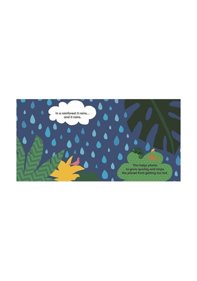 Eco Baby: Rainforest 0-3 Yaş Çocuk Resimli İngilizce Kitap
