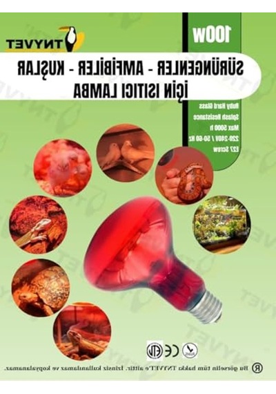 Kızılötesi Isıtıcı Lambalar, 100 Watt İle Sürüngenler İçin