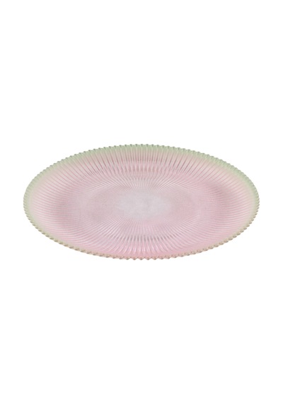 Akcam Paris Pink Tabak 21 Cm 4 Adet Renkli