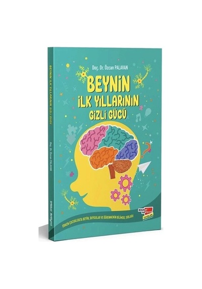 Beynin İlk Yıllarının Gizli Gücü