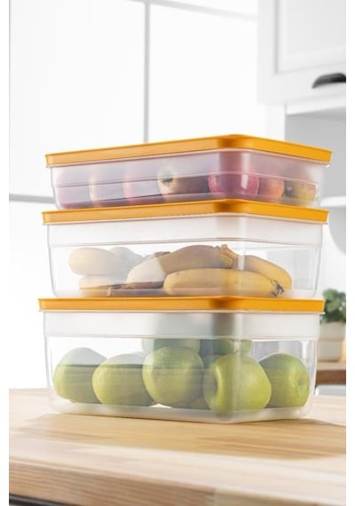 Tupper Model - Vakumlu - Mikrodaa Buzluk Saklama Kabı 5lt Çok Renkli