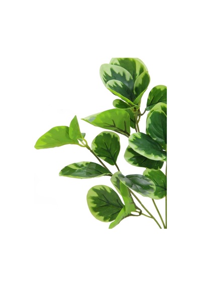 Yapay Peperomya Demeti 35 Cm-9987