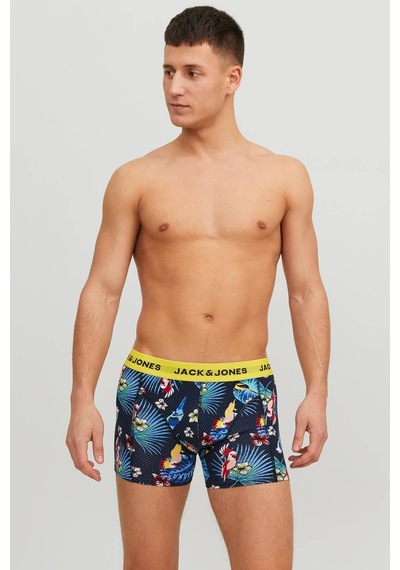 Jack & Jones Jack &Amp Jones Jacflower Bırd Trunks 3 P Mavi Erkek Boxer 000000000101561496