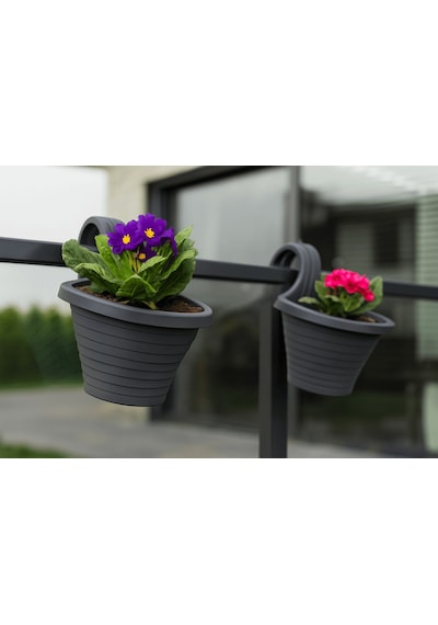Serinova Tombik Tekli Askılı Balkon Saksısı 3 Lt 73182932
