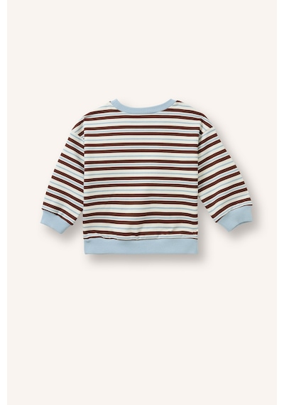 Defacto %100 Pamuk Regular Fit Bisiklet Yaka Düşük Omuzlu Çizgili Erkek Bebek Sweatshirt I0699a526aubn330 Kahve-bn330