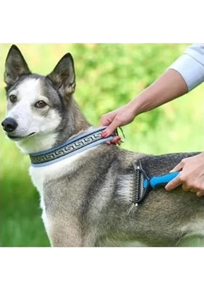 Metal Kedi Ve Köpek Bakım Tarak, Plastik Saplı