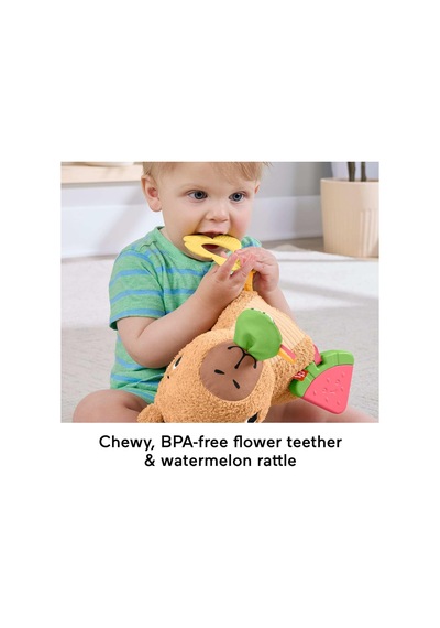 Fisher-price 3 Ay Ve Üzeri Bebekler Için Yumuşacık Obur Kapi Duyu