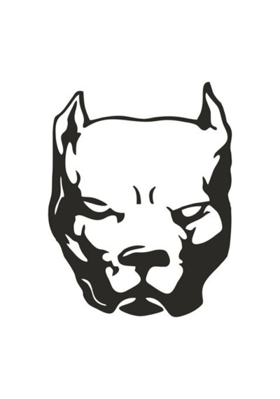 Pitbull Köpek Sticker 15 11,5 Cm