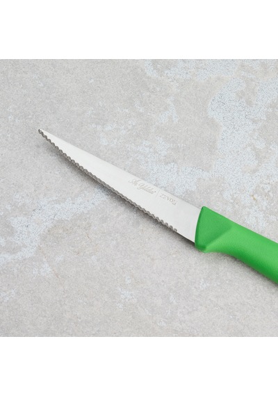 Aryıldız Rexa Tırtıklı Sebze Bıçak Yeşil 10 Cm Renkli