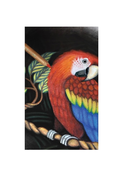 Polycolor Sanatçı Boya Kalemi 72 Adet