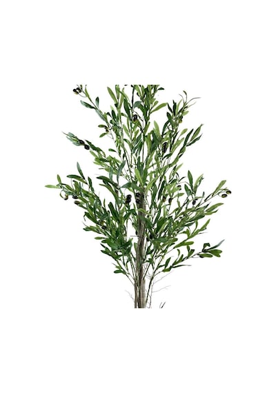 Yapay Zeytin Ağacı 160Cm Tek Gövdeli Çalılı Doğal Gerçek Görünüml