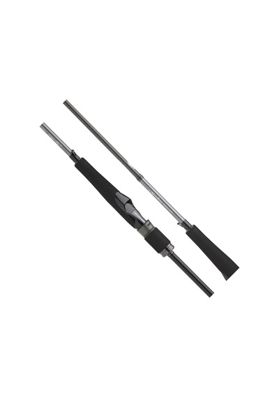 Daiwa Saltist Seabass Bf 290 Cm 14-56 Gr Spin Kamış