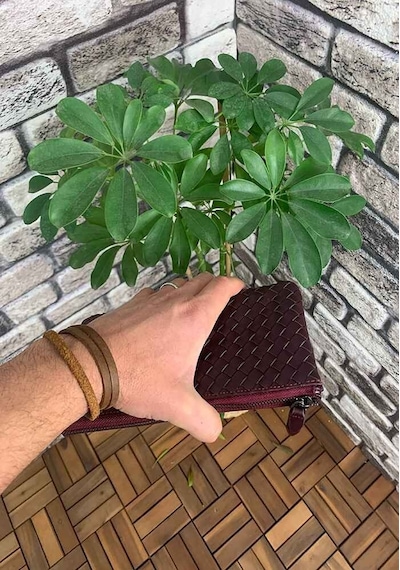Guard El Örgüsü Küçük Boy Bordo Hakiki Deri Kadın Çantası P2271 Bordo