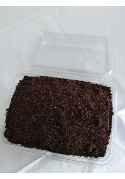 Kültür Mantarı Tohumu Ekili Kutu + Eğitim Kılavuzu