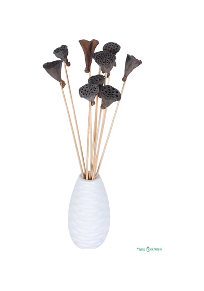 Yapay Çiçek Sitesi Kuru Çiçek Doğal Lotus 28 Cm 10lu Natürel