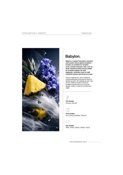 Babylon 100 Ml Nıche Parfüm Meyveli