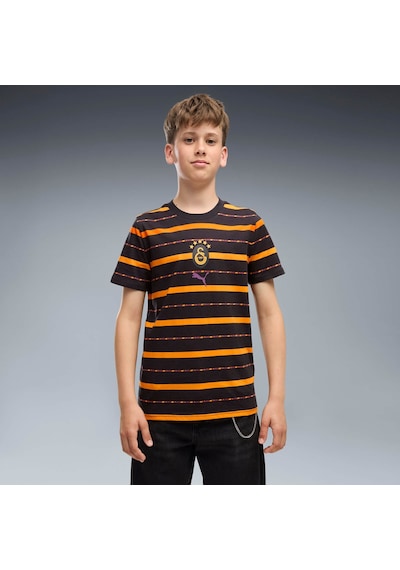 Puma Galatasaray Ftblculture Genç Tişört 786846 19 Gri