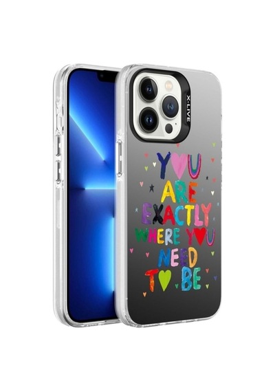 Apple Uyumlu iPhone 13 Pro Max Kılıf Desenli Zore Silver Sert Kapak You