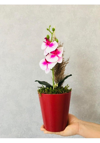 Tr Orkide Yapay Çiçek, 38 Cm, Pembe-beyaz, Saksıda Diğer