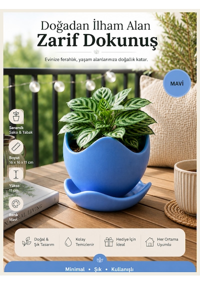 Dekoratif Kaseli Saksı-bitki,çiçek,sukulent Ve Kaktüs Saksısı-modern Tarz Saksı Mavi