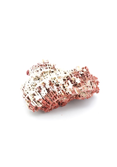 Hakiki Doğal Kırmızı Mercan Kaya Parçası 96 Gram