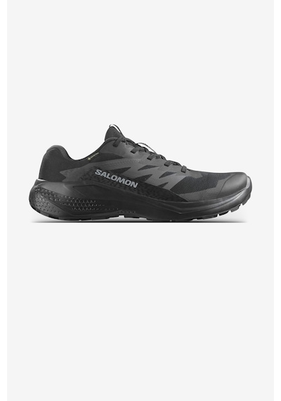 Salomon Alphaglide Gore-tex Erkek Koşu Ayakkabısı Siyah 478021