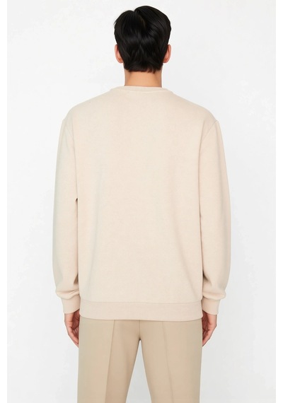 Benerly Erkek Bisiklet Yaka Standart Kol Regular Kalıp Sweatshirt Fonksiy Bej