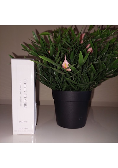 Près Du Soleil Edt 10 Ml Kadın Parfümü Meyve
