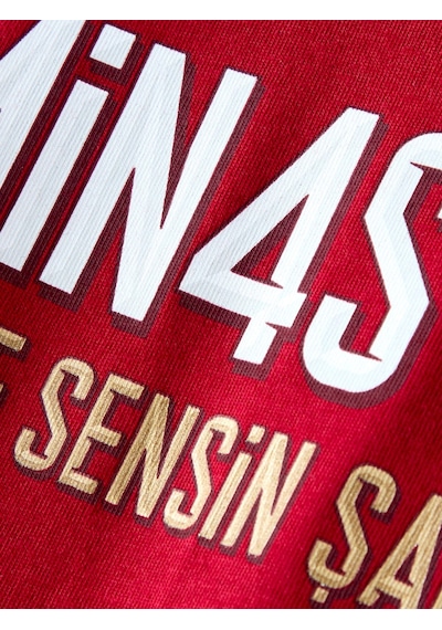 Galatasaray Lisanslı 2026 Şampiyonluk Dominasyon Kırmızı Tişört