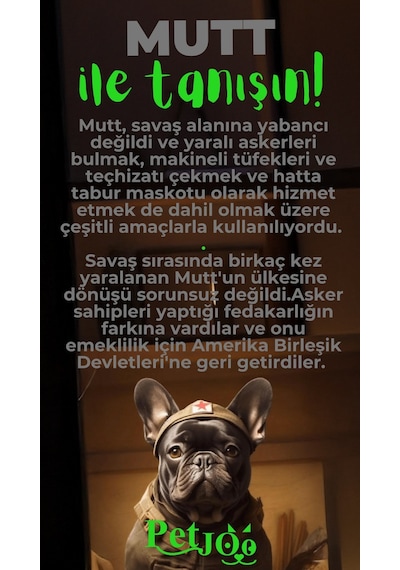 Petjoo 10.Mutt Yeşil-Gri Qr'lı Köpek Künyesi