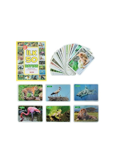 Byrurg 1352 Flash Cards Ilk 50 Hayvan -dıytoy Byrnew