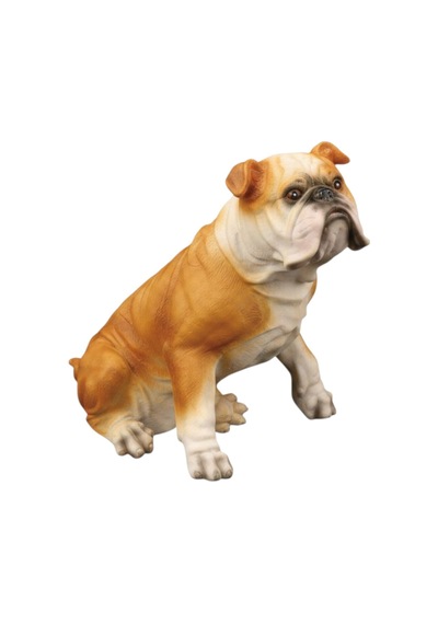 Açık Kahve İngiliz Bulldog Diğer