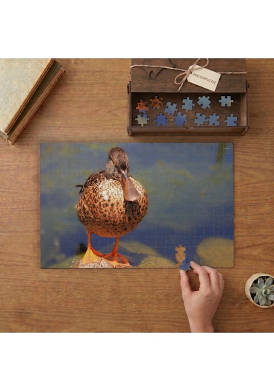 Yaban Ördeği Tasarımı 240 Parça Ahşap Puzzle Ahşap Kutuda Mpy40168