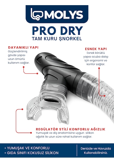Molys Angel Dalış Maskesi + Antı Fog Buğu Önleyici Film + Pro Full Dry Tam Kuru Şnorkel + Maske Koruma Kutusu Set Halinde Siyah - Siyah