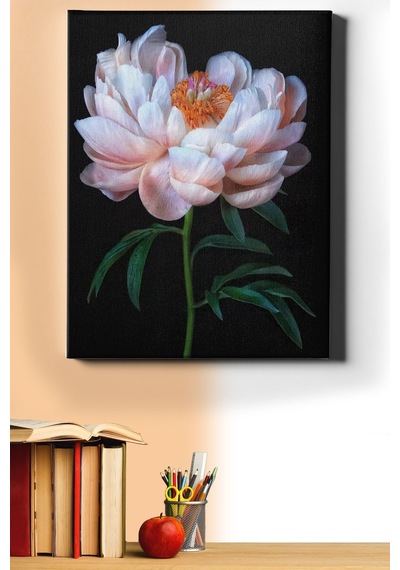 Webstyle Sayılarla Boyama Seti Kasnaklı Beyaz Şakayık 40 X 50 Cm