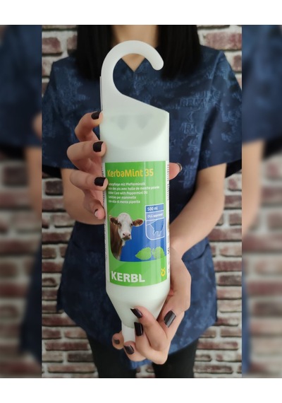 Kerbamint Japon Nane Yağı 500 Ml