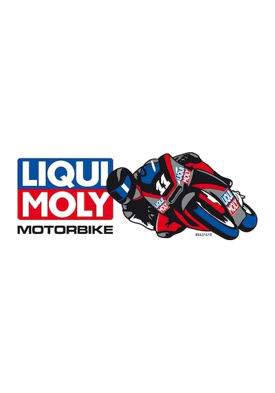 Liqui Moly Helmet Interior Cleaner Kask İçi Temizleme Spreyi 300 Ml