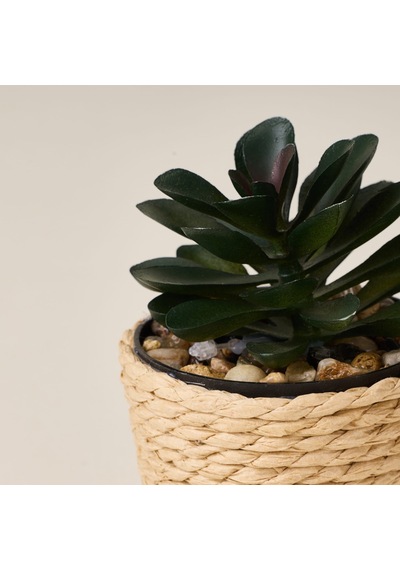 Deco Hasır Saksı Yapay Sukulent - Bej / Yeşil - 10x6 Cm Çok Renkli