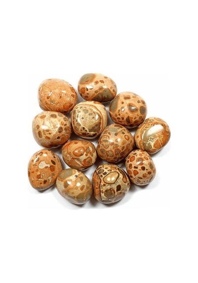Riyolit Taşı Kütle Leopardite