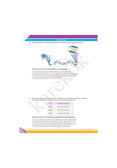 Karekök Müfredat 8. Sınıf Türkçe-matematik-fen Bilimleri Lgs Ye