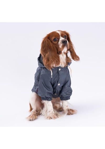 Pettrend Antrasit Mont Köpek Mont Köpek Kıyafeti Köpek Yağmurluğu