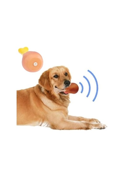 Buffer Köpekler İçin Oyuncak Tavuk Budu Diğer