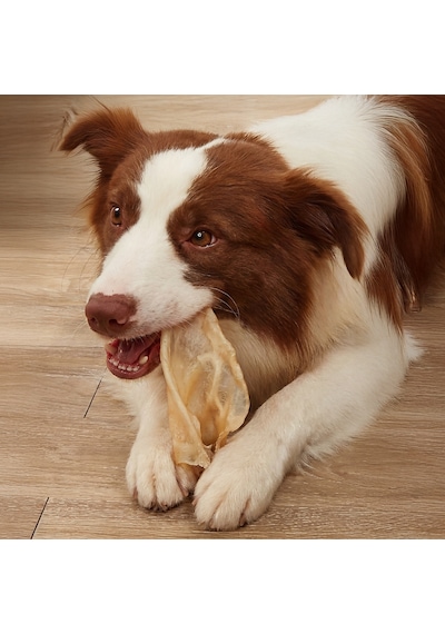 Kito Kurutulmuş Dana Kulak Çiğnemelik Doğal Glutensiz Organik Köpek Ödül Maması 100 G