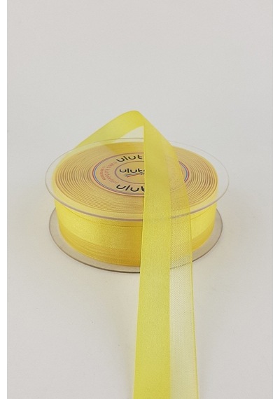 FdayAksesuar 1 m Su Yolu Kurdelesi En 2,5 cm FRDY24708