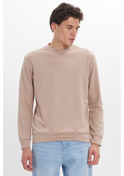 Tudors Erkek Standart Fit Normal Kesim Uzun Kollu Ekstra Soft Modal Kumaş Bisiklet Yaka Koyu Vizon Sweatshirt-50227