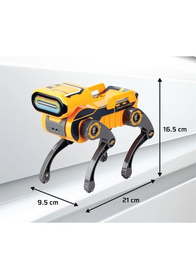 Robot Köpek Robo Dog Teslimat Robotu
