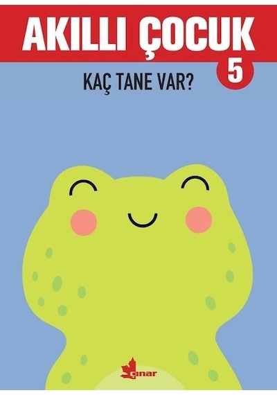 Akıllı Çocuk - Kaç Tane Var?- Çınar Yayınları