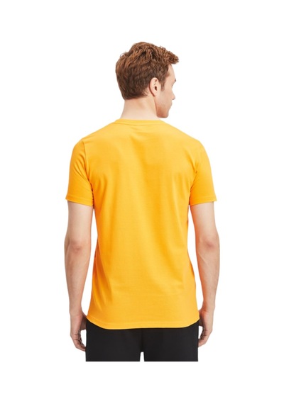 Gsstore Galatasaray Lisanslı Aslan Baskılı Sarı T-shirt Bayrak Ve Lazer Kutu Hediyeli Sarı